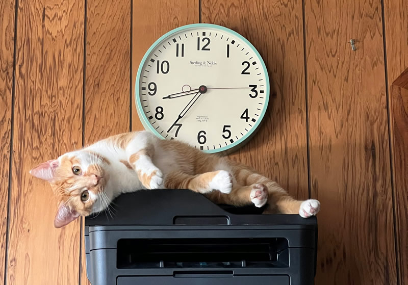 Windows 11 は、V3 および V4 の古いプリンタドライバのサポートを終了し、その後更新されます