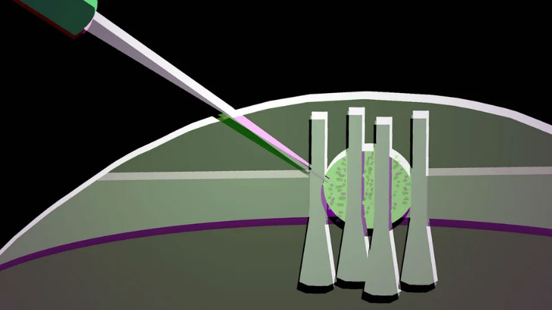 科学者は液体結晶の一滴から、将来のフォトニクスチップ用に柔軟な光学トランジスタを作り出しました