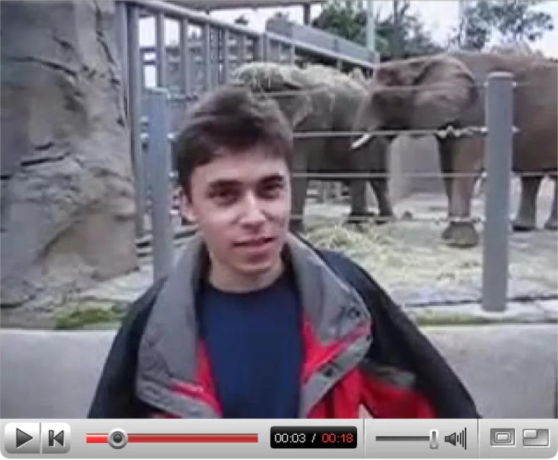 YouTubeの最初のビデオが博物館のコレクションに加わった。