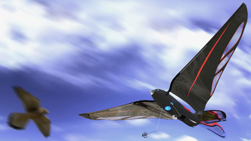 エンジニアは、スマートフォンで操作できる最高速度31km/hまで回転する10グラムのロボット鳥を製造しました