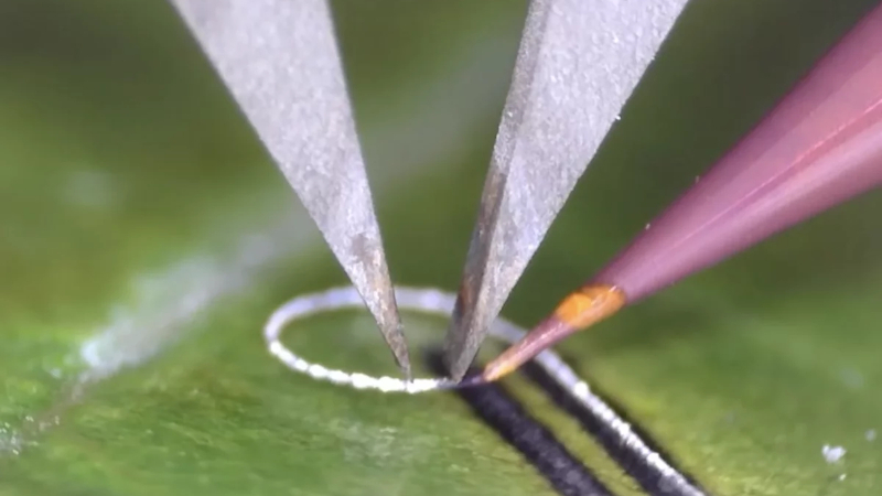 エンジニアは、損傷を与えずに電子部品を生体組織や医療インプラントに貼り付ける装置を開発しました